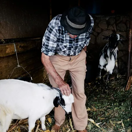 Country house Chicos *